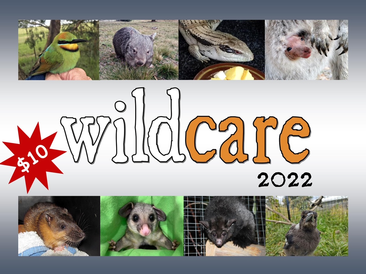 Wildcare Calendar