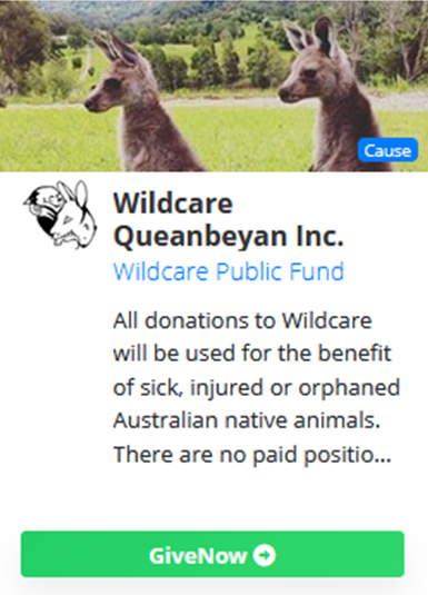 give now to Wildcare